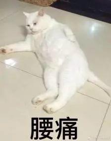 截图+合并+录屏,一款小软件就够
